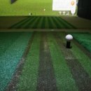 보타닉 스크린 골프 이미지