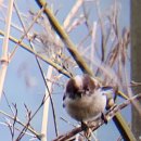 봉북회관 | 250606 🍵 구례•하동 여행 (1)