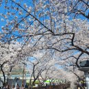 CU(진해로망스점) 이미지