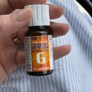 미국 서부 여행 후기_LA 2일차_산타모니카 비치, 게티빌라, UCLA, 다저스 스타디움