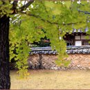 봉화약수 이미지