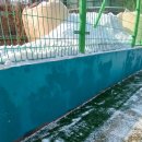 대림체육도장 이미지