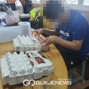 제주웰빙영농조합법인 이미지