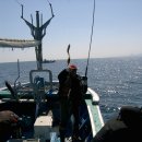 현대낚시 이미지