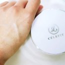 뷰라벨 | 겟잇뷰티 뷰라벨 쿠션팩트 '셀레피트' 후기