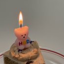 229 | 세종시청 답례품 보람동 카페 베이크229 케이크 픽업 후기