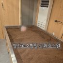 금화환경 | 양산효소찜질 금화효소원 체험 솔직후기!
