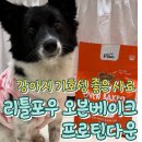 퍼피베이크 이미지