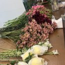 도도꽃방 네이버블로그