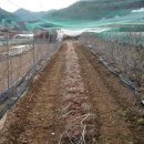 그림농장 이미지