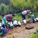 다우리어린이집 이미지