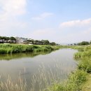 안성천작은미술관 이미지