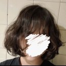 우연이미용실 | 제주미용실 더헤어앤코 하늘디자이너가 요즘 리뷰 보면서 자꾸 마음이 찡해지는 이유