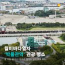 박물관역 이미지