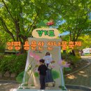 용문산 관광지 | 경기도 양평 아이랑 가볼만한곳 용문산 산나물축제와 용문사 방문 후기