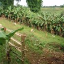 태일농장 이미지