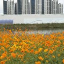 청라호수공원(제3주차장) | 청라 호수공원 제3주차장