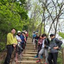 만년소녀 이미지