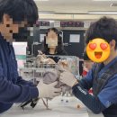부산야생동물치료센터 | 🐦 작년에 다녀온 특별한 체험!사하구 야생동물치료센터 이야기