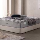 디지탈에버그린 이미지