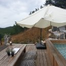 블랙트리 하우스 이미지