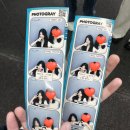 대한빌딩디드 | 첫종강과 싸돌아다니기만 한 8월일상 (3)