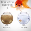 발할라짐 이미지