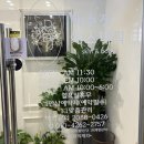 박수정미용실 - 제주시 구좌로 32 | 박수정미용실