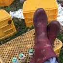 덕송농장 이미지