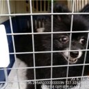 명경프라자 이미지