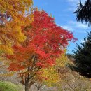 수목원제일풍경채작은도서관 | 부산 가을 나들이 화명수목원 후기 (주차 대기, 아쉬운점 등)