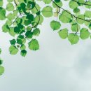 청조슈퍼 이미지