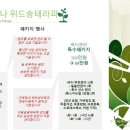 송송테라피 이미지