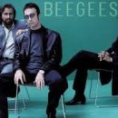 Bee Gees / Spicks and Specks 이미지