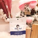 써니애견샵 네이버블로그