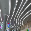 쇼셜 안경콘택트 이미지