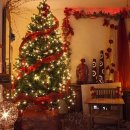 신동아최고공인중개사사무소 이미지