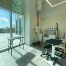 명지애견 이미지