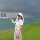 전 프로 골프클럽 | 싱가포르 센토사 골프클럽 라운드 후기 ⛳️ 벙커도 이쁜 골프장 후기