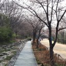 꽃, 이어라 이미지