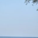 보관소식당 이미지