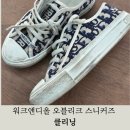 진주세탁 | &lt;워크 앤디 올 오블리크 스니커즈&gt; 디올 오블리크 세탁 작업 후기! 진주 사천 통영 거제 여수 광양
