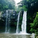 제주로와 이미지