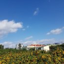 동내마을 이미지