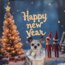 멍멍이집 | [인천 계양구 애견미용] 계산동 '엄지네 멍멍이 살롱' – 핸섬가이 '해치'의 깔끔 변신 후기! 🐾