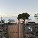 스테이제주작은별 | [제주] 담우스테이 애월:독채(자쿠지,수영장) / 내돈내산