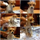 간석3동-9 이미지