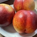 승주농장 이미지