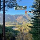 양산 통도사 단풍 이쁜 암자 추천 서운암 안양암