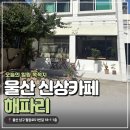 해파리 | 울산 신정동 신상카페 해파리 후기｜햇살 좋은 감성카페